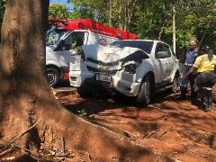Motorista passa mal e colide contra árvore nos Campos Elíseos