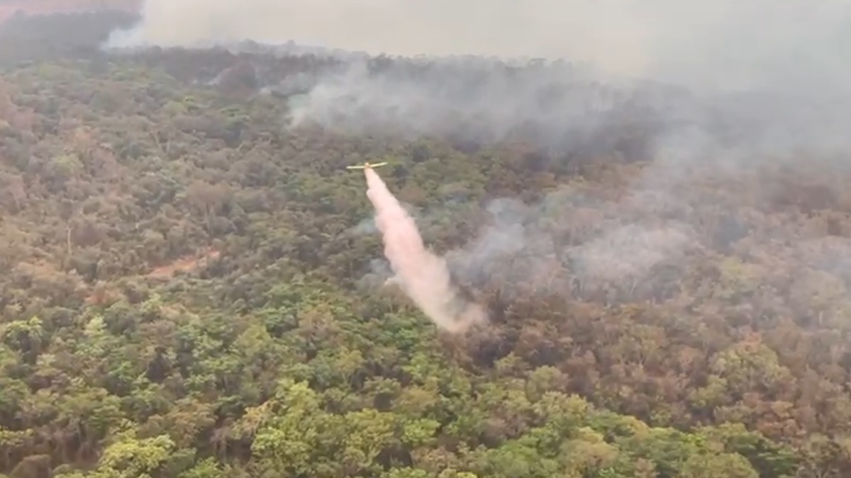 Defesa Civil não registra novos focos de incêndios da reserva ecológica Jataí neste sábado (5)