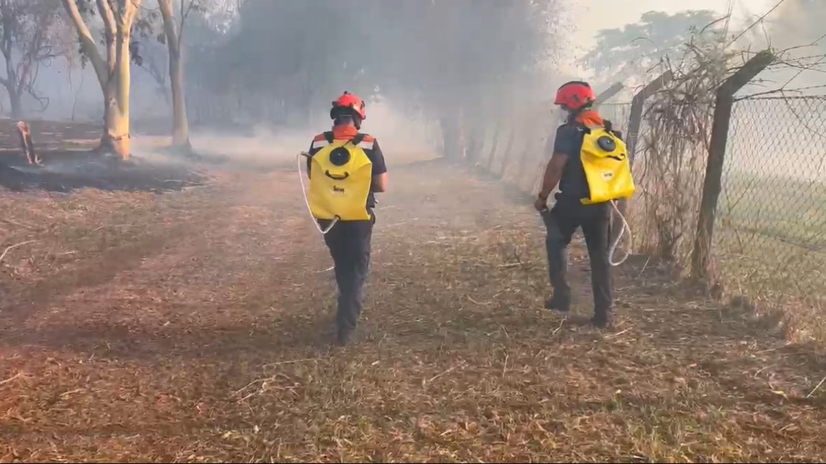 Em um dia, destruição causada pelos incêndios na região tem o tamanho de cinco cidades de Ribeirão