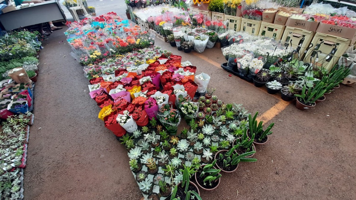 Dia das Mães: Ceagesp pretende negociar mais de 375 toneladas de flores e plantas ornamentais