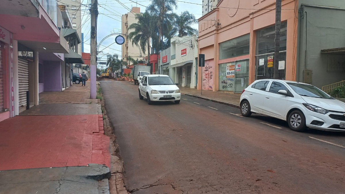 Apenas 23,3% dos imóveis no Centro de Ribeirão têm árvore na fachada