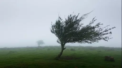 A resiliência nos mostra que retroceder também é avançar