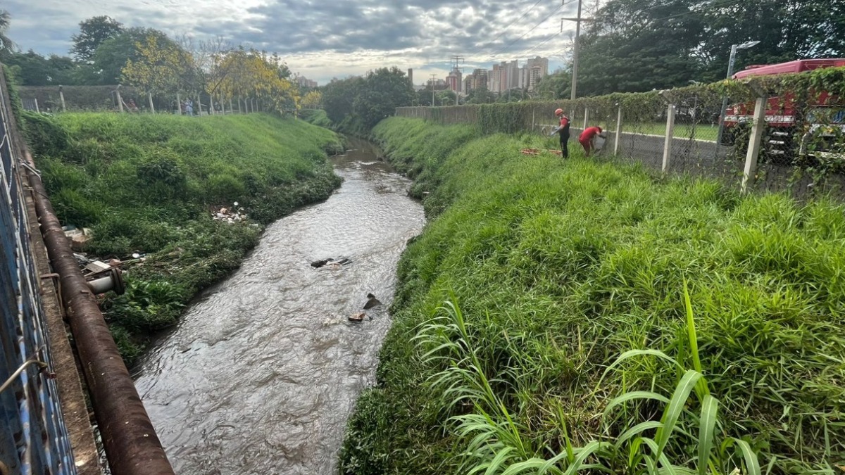 Corpo Encontrado Em C Rrego Pr Ximo Ao Parque Maur Lio Biagi Em