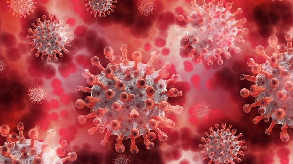 Falta da vacina contra a Covid-19 pode causar novos picos da doença?