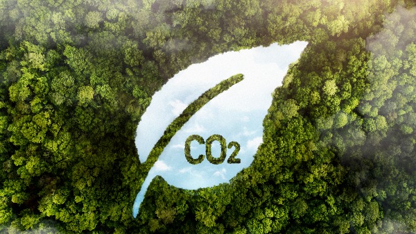 Tecnologia analisa quanto uma amostra de solo tem de carbono estocado