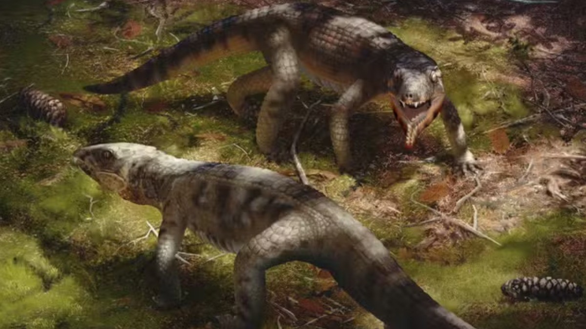 Museu de paleontologia de Monte Alto recebe fósseis de crocodilo que viveu há 85 milhões de anos