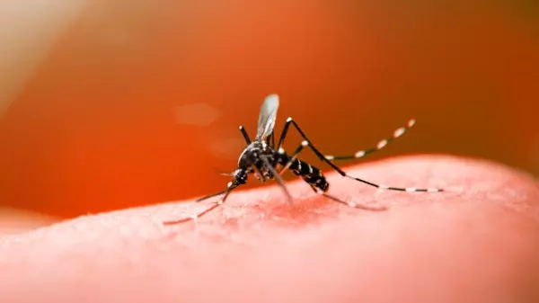 Clínicas de São Carlos registram aumento na procura por vacina contra dengue