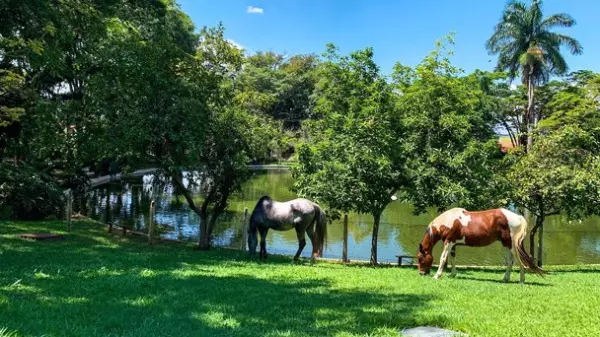 São Pedro oferece relax e atividades culturais na Páscoa e Tiradentes