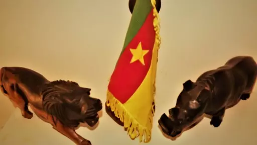 Araraquara celebrará o Dia da África no domingo (22)
