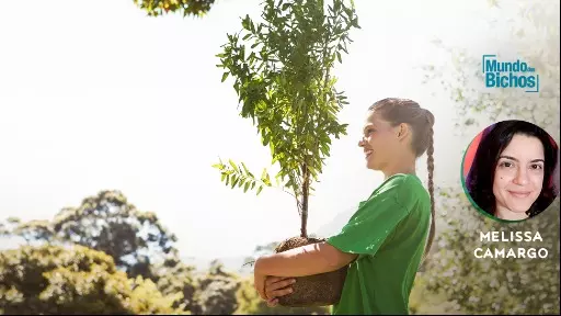 Dia Mundial do Meio Ambiente