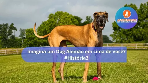 Imagina um Dog Alemão em cima de você? - #História3