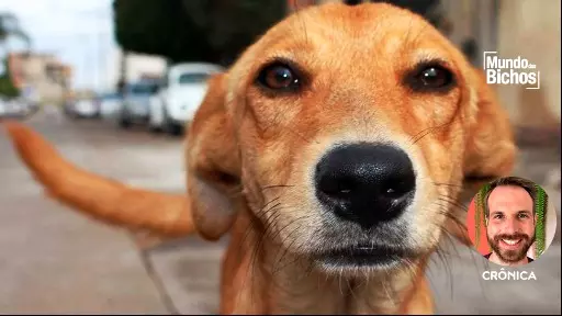 A nossa grande corrida da misericórdia