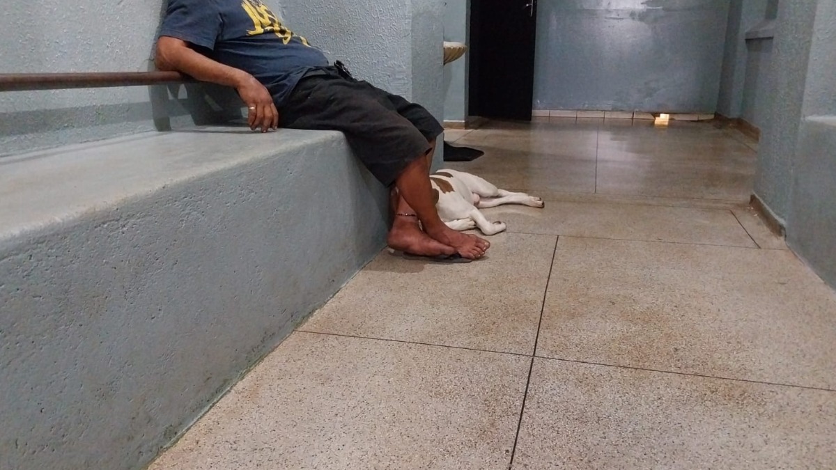 Dono de cachorro que atacou deficiente auditivo na Vila Tibério, em Ribeirão Preto, segue preso