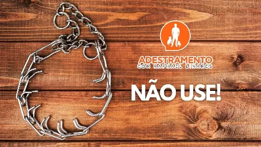 Você ainda usa esse tipo de coleira?