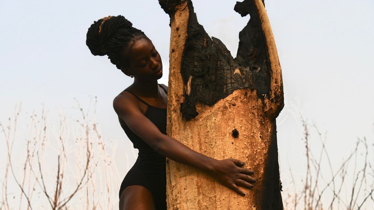 Fotógrafo ambientalista registra destruição dos incêndios na região e doa mudas para a APAE