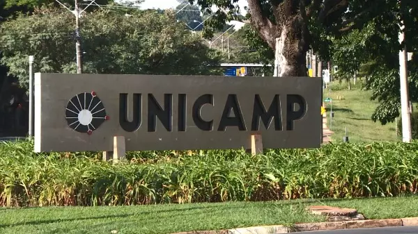 Pesquisadores da Unicamp desenvolvem antioxidante natural para carnes