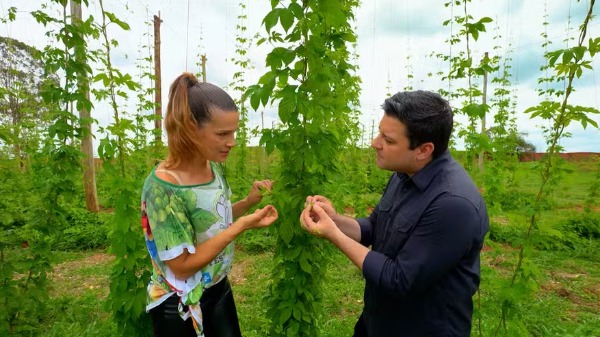 EP Agro - Foto: EPTV