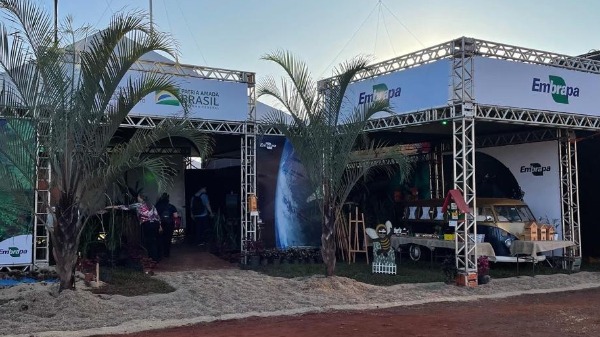 Embrapa lança primeiro programa nacional de citricultura regenerativa