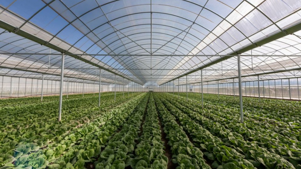 Controle de temperatura e climatização são recursos importantes para manter alta produtividade