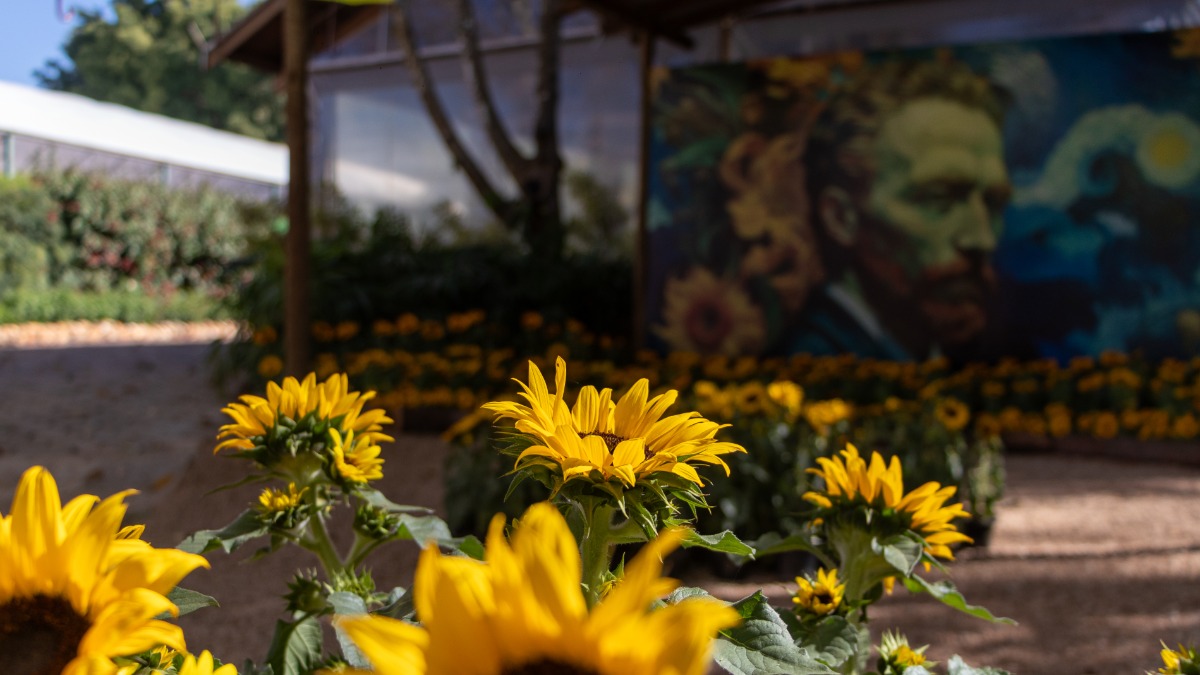 Expoflora tem 42ª edição aberta ao público a partir da sexta-feira (29)