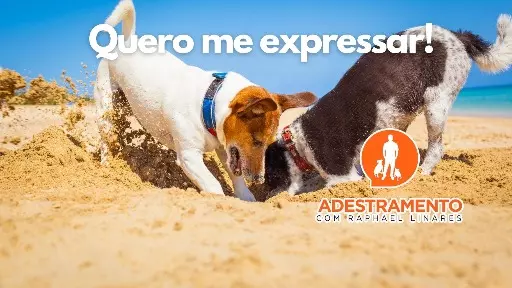 Como posso me expressar?