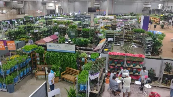 Holambra recebe feira de flores e plantas com 150 produtores