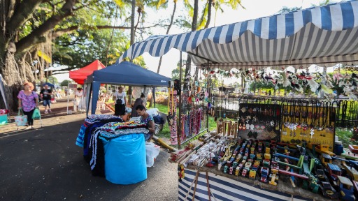 Araraquara tem feira de artesanato e show neste domingo (19)