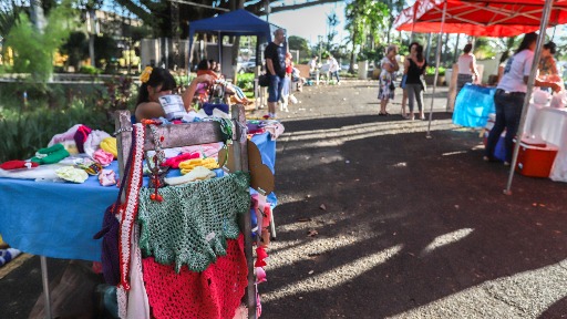 Feira de artesanato é realizada em Araraquara nesta tarde (19)