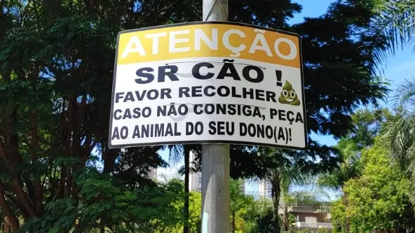 Projeto na Câmara de Ribeirão Preto propõe RG para cães e gatos