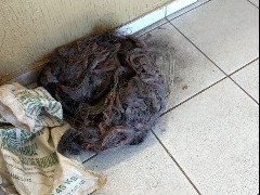 Três suspeitos são detidos por furto de fios de cobre