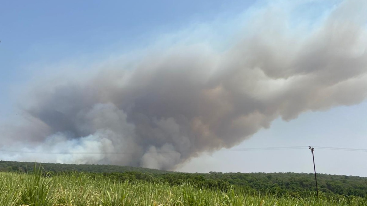 Região de Ribeirão Preto tem foco de incêndio sendo combatido neste sábado (28)