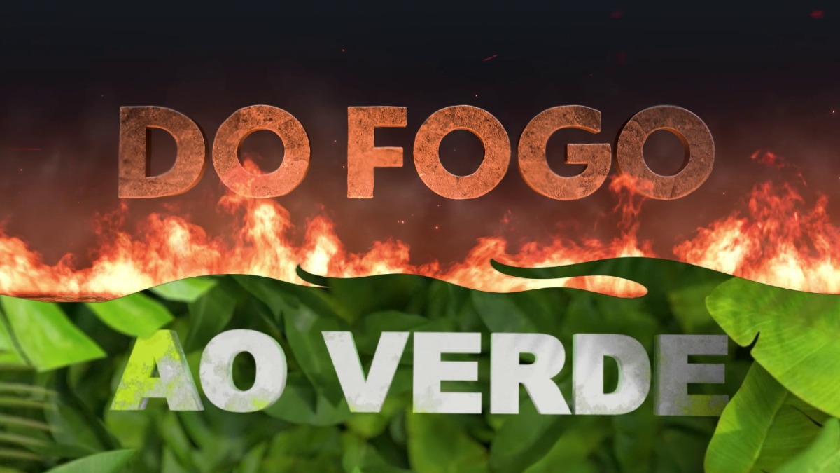 fogo e verde 2 - Foto: Institucional EPTV