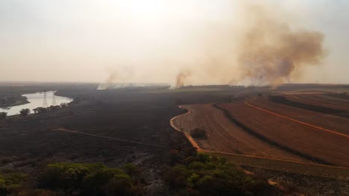 Defesa Civil de SP conclui rodada de oficinas preparatórias contra para a prevenção de incêndio