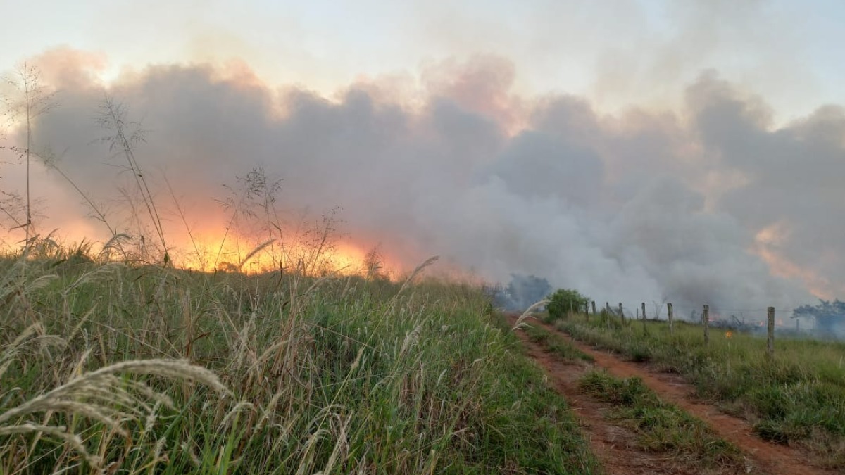 Incêndio atinge área de vegetação natural na avenida Airton Senna em Batatais