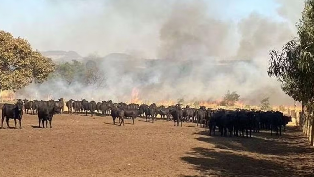 Justiça decreta prisão preventiva de homem acusado de realizar incêndios na região de Franca