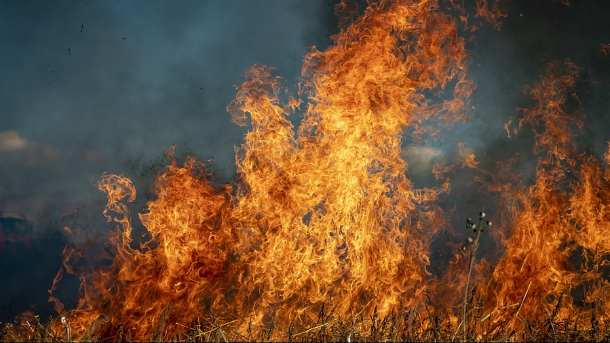 Estado de São Paulo registra menor número de incêndios no mês de junho desde 1998
