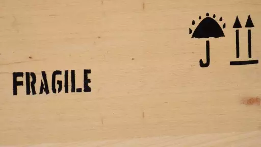 O Publicitário precisa ser antes de tudo um Antifrágil