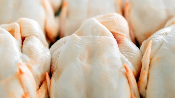 Suspensão de tarifa do Egito é para o frango inteiro, produto em que o país tem no Brasil um importante fornecedor - Foto: Cdial/Halal