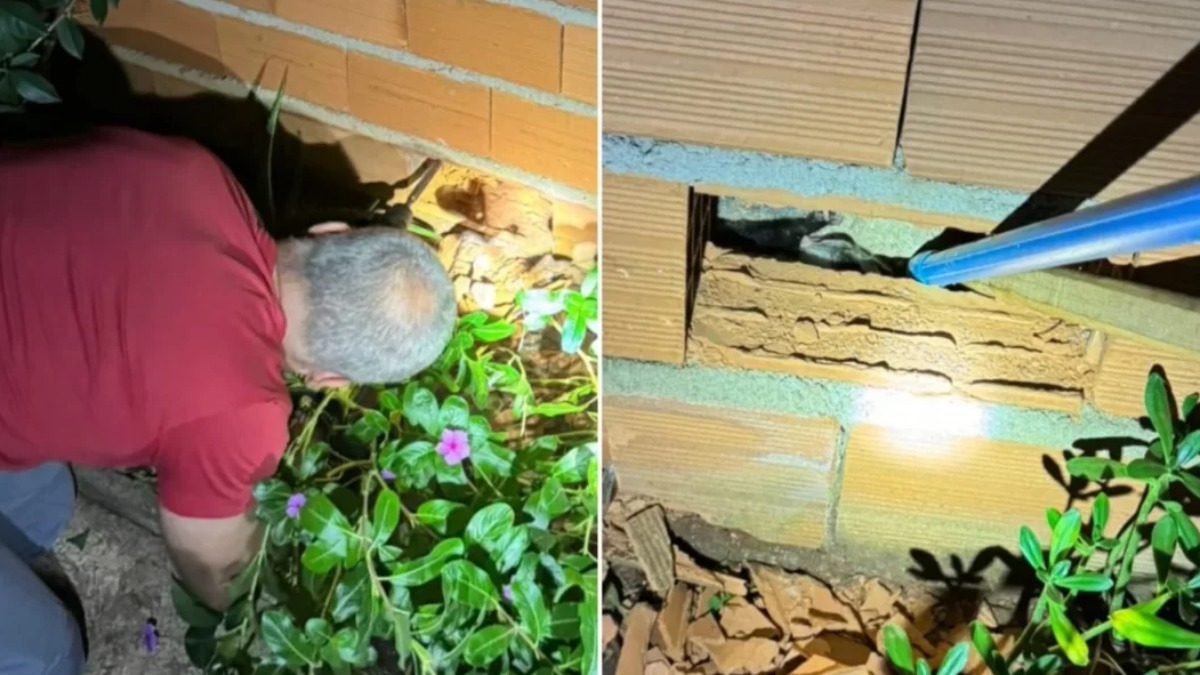 Bombeiros quebram parede para regatar gambá preso em Batatais