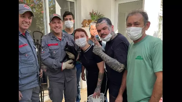 Gata é resgata após cair em duto de churrasqueira em Araraquara