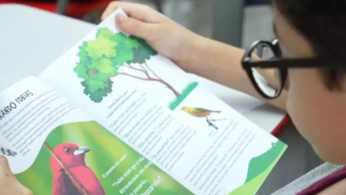 O projeto aproxima o currículo escolar da realidade dos biomas brasileiros, das comunidades e da biodiversidade - Crédito: Divulgação