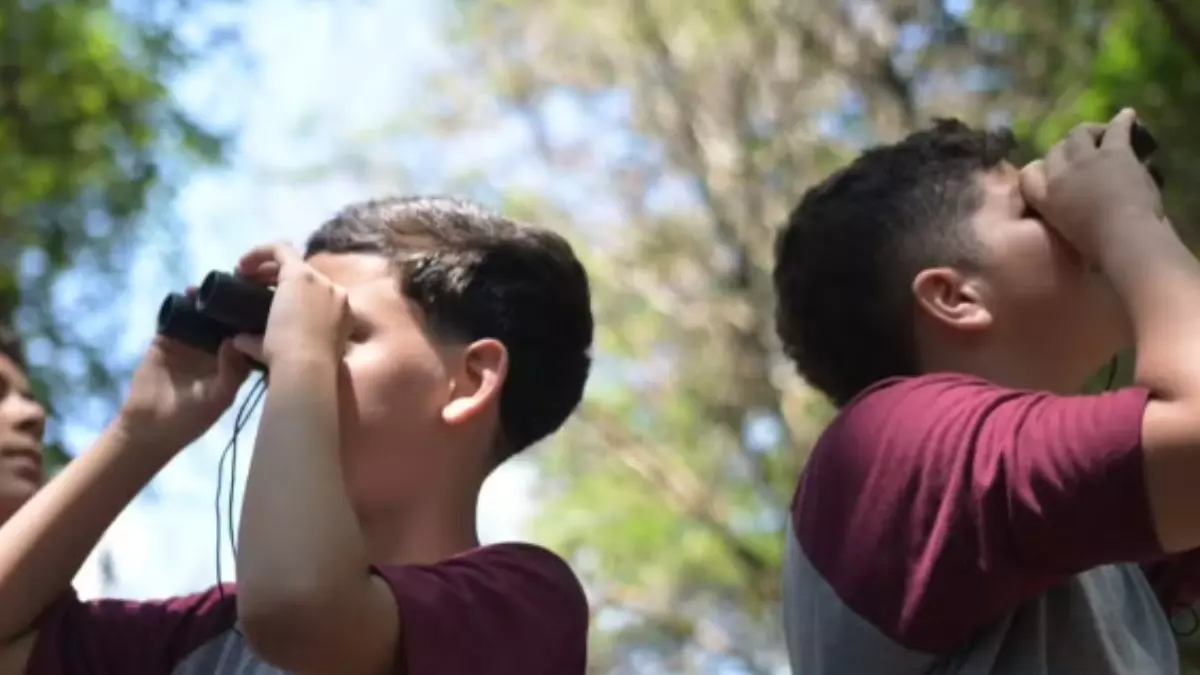 O kit de atividades reúne diversos recursos para a construção de projetos pedagógicos, incentivando a criatividade e a experimentação - Crédito: Divulgação