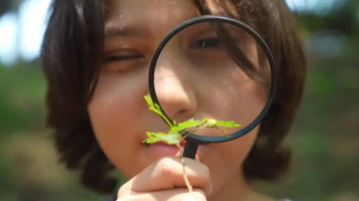 Projeto tem como objetivo estimular alunos e professores a desenvolverem projetos, pesquisas e atividades práticas que conectam educação, ciência e cidadania ambiental - Crédito: Divulgação