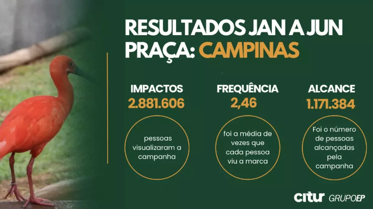 Ações de mídias avulsas na EPTV Campinas (SP) foram investimento publicitário feito pela Citur, operadora de turismo, em 2024 - Crédito: Divulgação