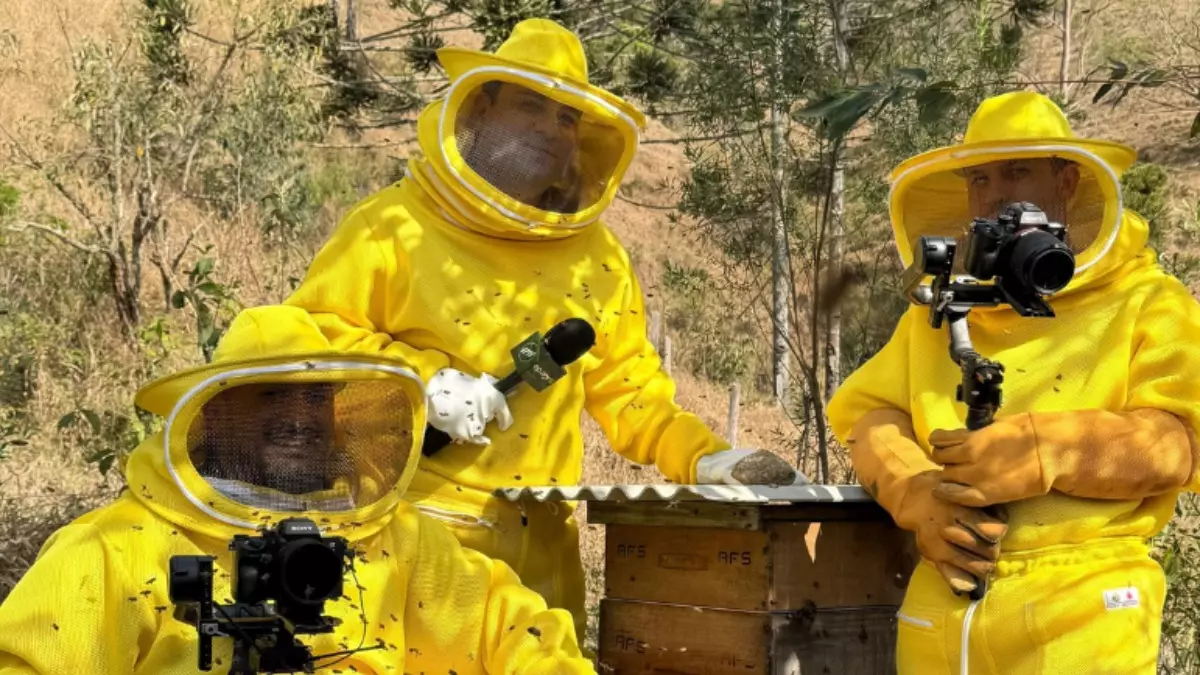 No especial de aniversário, a apicultura é atividade de destaque - Crédito: Divulgação