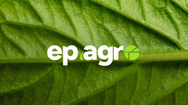 A importância do setor agropecuário do estado de São Paulo
