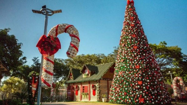 Quer ficar em forma até o Natal? Ainda dá tempo!