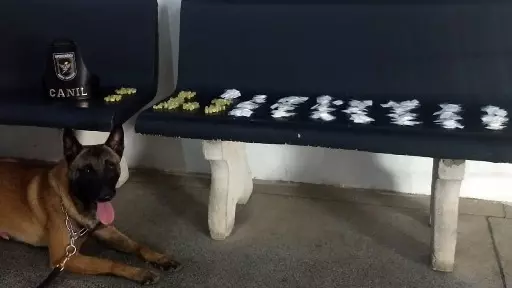 Guarda Municipal de Campinas apreende drogas no Jardim Roseira