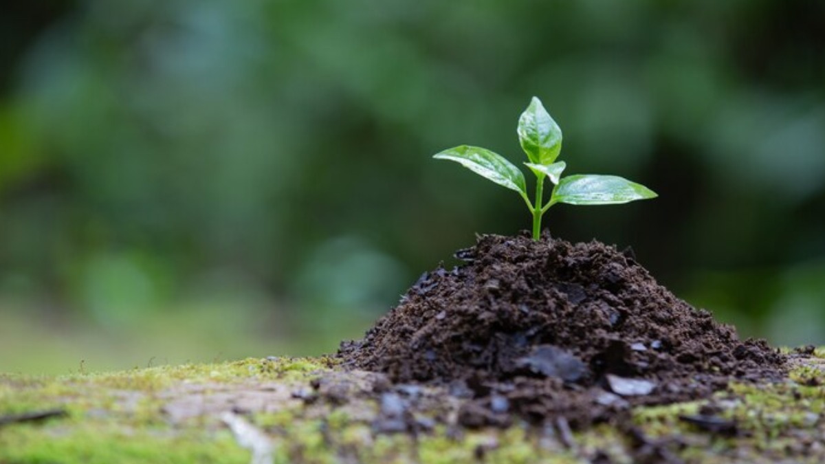 Ribeirão Preto recebe ação de conscientização ambiental neste sábado (19)