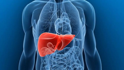 Hepatites Virais - Foto: Divulgação